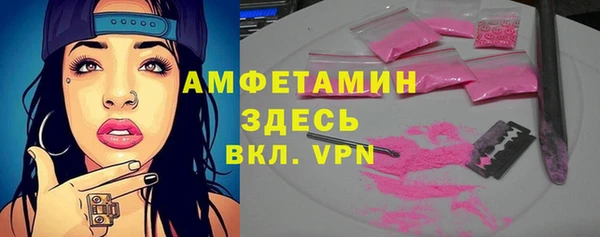 spice Богородицк