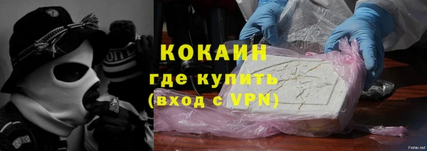 spice Богородицк