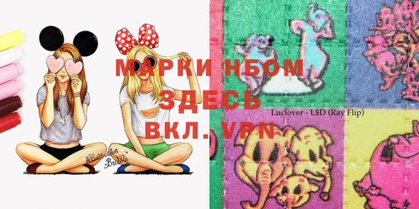 PSILOCYBIN Богданович