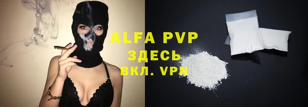 PSILOCYBIN Богданович