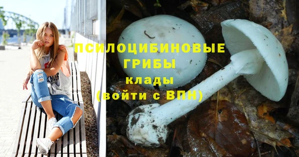 экстази Богородск