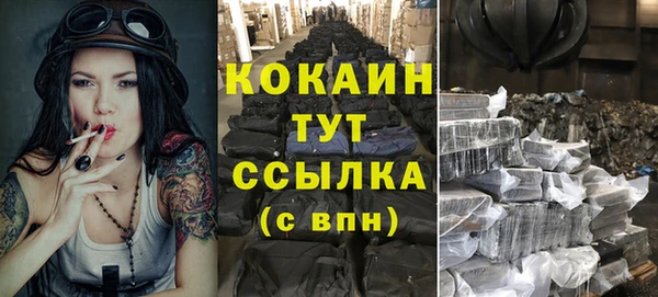 spice Богородицк