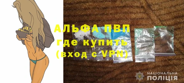spice Богородицк