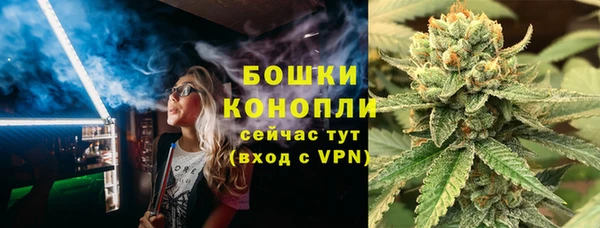 spice Богородицк