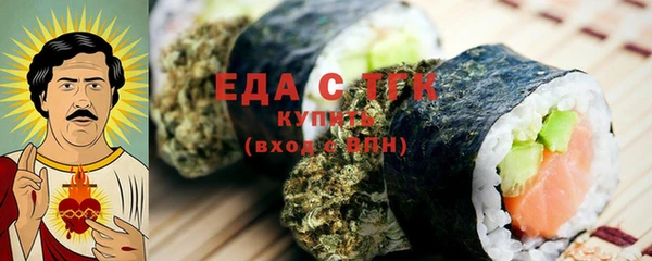 spice Богородицк