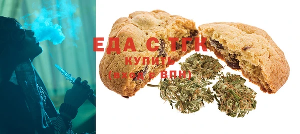 spice Богородицк