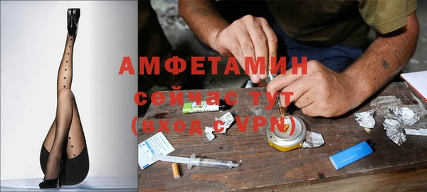spice Богородицк