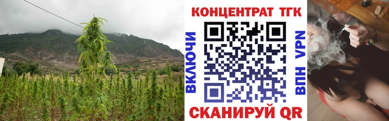 Дистиллят ТГК концентрат  Динская 